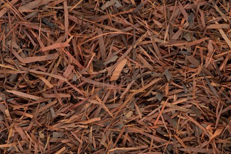 Photo for Lapacho herbal tea as background, top view. Natural Taheebo dry tea. Herbal tea from the bark of an ant tree. - Royalty Free Image
