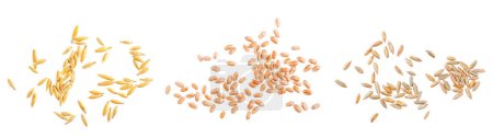 Téléchargez les photos : Collecte de grains : seigle, blé et avoine isolés sur fond blanc. Vue du dessus. - en image libre de droit