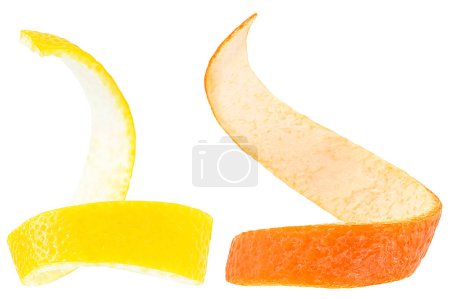 Juicy citrus peels isolated on a white background. Lemon and orange twist.
