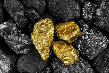 Photo for Shiny gold nuggets on black coals, view from above. Pieces of gold among the coal. - Royalty Free Image