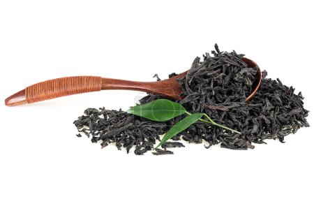 Téléchargez les photos : Feuilles de thé noir séchées dans une cuillère en bois et feuilles de thé fraîches isolées sur un fond blanc - en image libre de droit