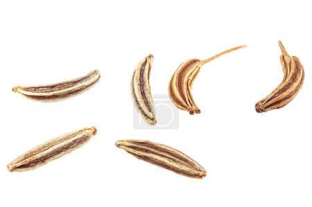 Cumin seeds isolated on a white background, macro. Caraway grains.