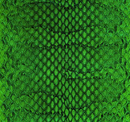 Green snake skin texture, as background. Natural reptile leather. Python leather.