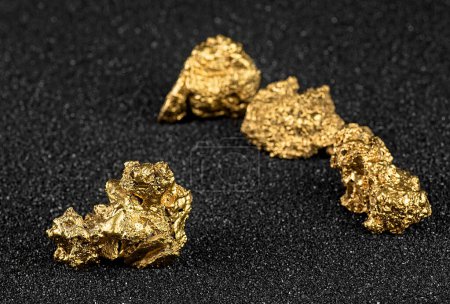 Photo for Pure gold nuggets from the mine on a black sand. Gold ore. - Royalty Free Image