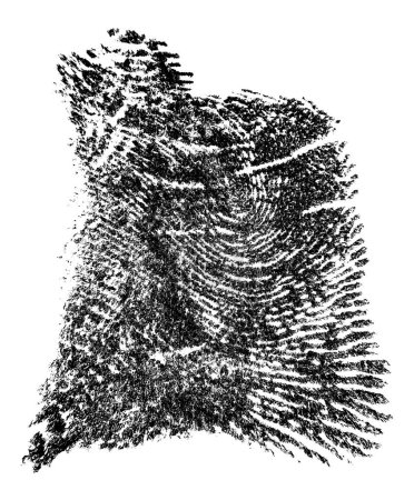 Top view of single black fingerprint isolated on a white background. Real fingerprint made with ink.