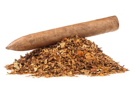 Stapel getrockneter Tabakblätter und luxuriöse braune Zigarre isoliert auf weißem Hintergrund