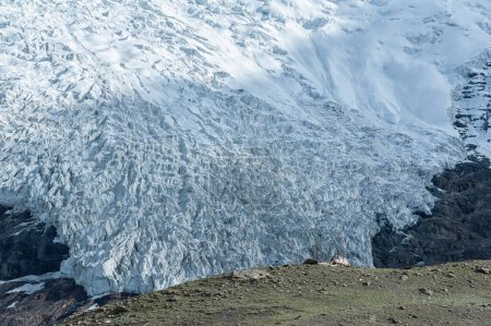 Téléchargez les photos : Le glacier Karola est l'un des plus beaux glaciers du Tibet. Il est situé entre la préfecture de Lhokha et la préfecture de Shigatse - Tibet - en image libre de droit