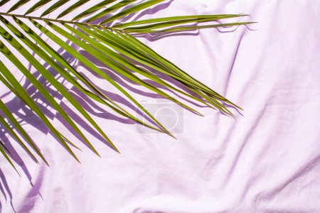 Téléchargez les photos : Oreiller lavande et feuille de palmier. Style plat laïc - en image libre de droit