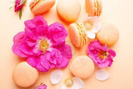 Photo for Peach macaroons and roses on a peach background. Flat Lay Style - Royalty Free Image