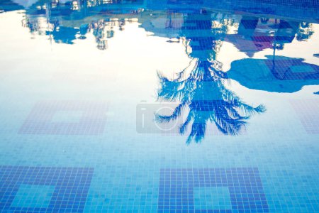 Foto de Reflejo de palmeras y sombrillas en la piscina - Imagen libre de derechos
