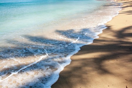 Foto de La sombra de una palmera en una playa de arena. Hora de verano en la playa de España. Concepto vacaciones - Imagen libre de derechos