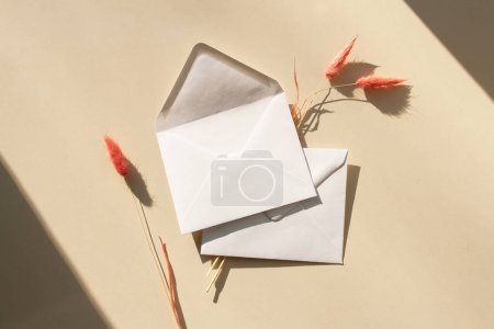 Téléchargez les photos : Deux enveloppes blanches et des brindilles. Carte de vœux. Tendance des ombres contrastée. Style de pose plat - en image libre de droit