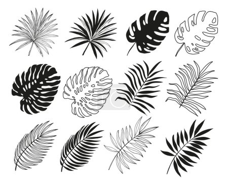 Téléchargez les illustrations : Collection de feuilles de palmiers tropicaux d'été. Illustration vectorielle silhouette noire sur fond blanc isolé - en licence libre de droit