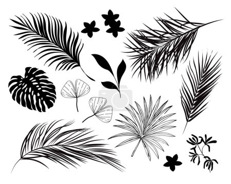 Téléchargez les illustrations : Collection estivale de feuilles de palmiers tropicaux. Illustration vectorielle silhouette noire sur fond blanc - en licence libre de droit