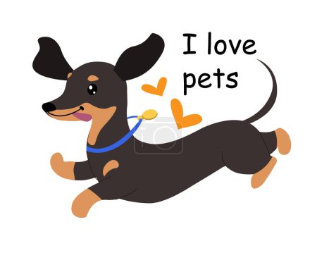 Illustration for Dachshund dog and inscription I love pets. Vector cartoon illustration. Domestic pets. Print, T-shirt design - Royalty Free Image