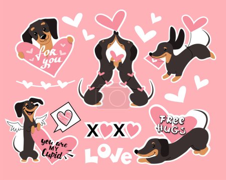 Téléchargez les illustrations : Badges patch mode avec chiens teckel et coeurs pour la Saint-Valentin sur fond rose. Illustration vectorielle - en licence libre de droit