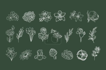 Ilustración de Conjunto de flores y hojas botánicas. Ilustración vectorial - Imagen libre de derechos
