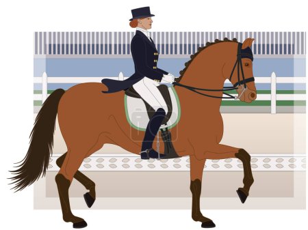 Ilustración de Doma ecuestre, caballo de nivel superior con jinete femenino en vestido formal con arena en el fondo - Imagen libre de derechos
