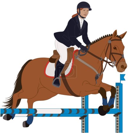 Ilustración de Espectáculo ecuestre saltando, jinete femenino guiando a su caballo saltando sobre un obstáculo aislado sobre un fondo blanco - Imagen libre de derechos