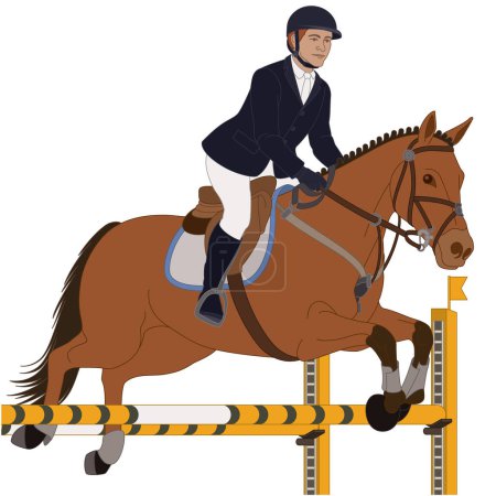 Ilustración de Espectáculo ecuestre saltando, jinete masculino guiando a su caballo saltando sobre un obstáculo aislado sobre un fondo blanco - Imagen libre de derechos