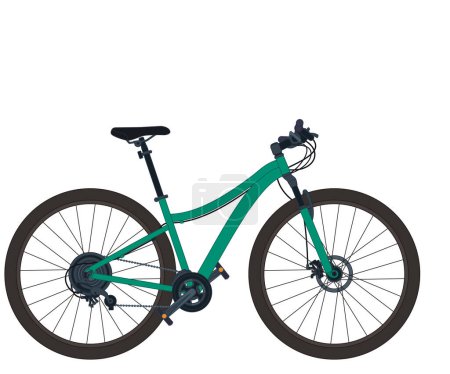 mountain biking sport, women's green mountain bike isolated on a white background