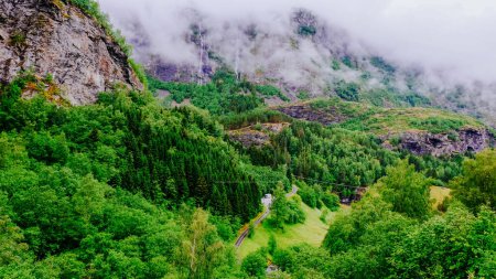 Stunning Norwegian nature landscape of green forest and mountain hill valley with cloud at the top peak, Flam, Norway