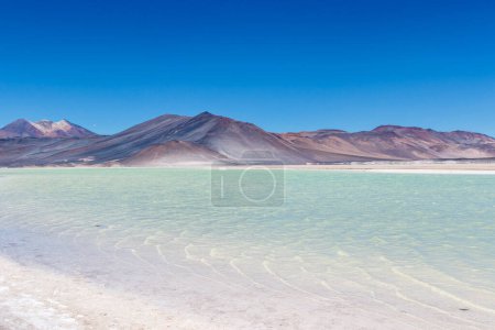 Téléchargez les photos : Lagune Chili Altiplano Miscanti et volcan Minique près de San Pedro de Atacama, Antofagasta, Chili, Amérique du Sud - en image libre de droit