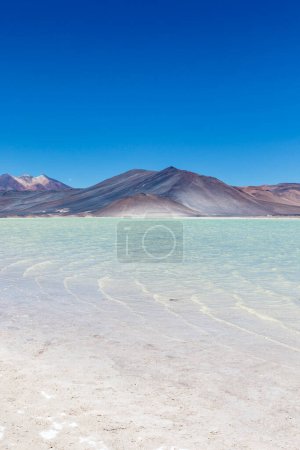 Chile altiplano Miscanti lagoon and Minique volcano near San Pedro de Atacama, Antofagasta, Chili, South America