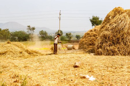 Photo for Traditional haystack in Karnataka, India, Asia - Royalty Free Image