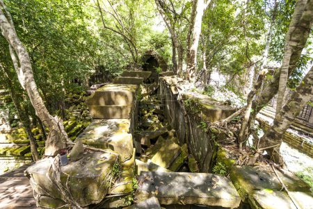 Téléchargez les photos : Ruines de Beng Mealea, Angkor, Cambodge, Asie - en image libre de droit