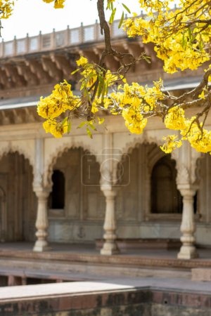 Exterior of the Suraj Bhawan, Deeg Palace, Deeg, Rajasthan, India, Asia