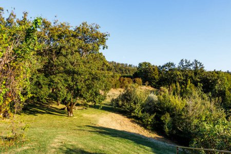 Foto de Jardín exuberante en las colinas alrededor de Vallfabrica, Umbría, Italia, Euro - Imagen libre de derechos