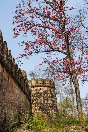Facade of Jhansi fort in Jhansi, Budelkhand, Uttar Pradesh, India, Asia