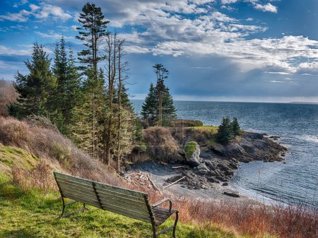 Photo for One bench looks over a rocky point and a beach on San Juan Island during a sunbreak in winter. - Royalty Free Image
