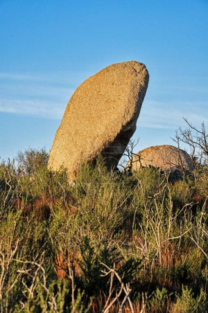 Foto de Una enorme roca antropomórfica erecta sale del suelo como un objeto antropomórfico gigante. - Imagen libre de derechos