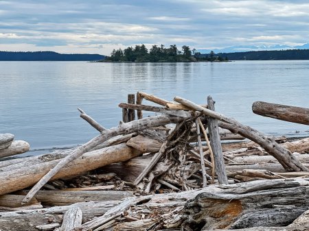 A simple lean-to made from driftwood stands at Jackson Beach on San Juan Island with the island landscape behind.