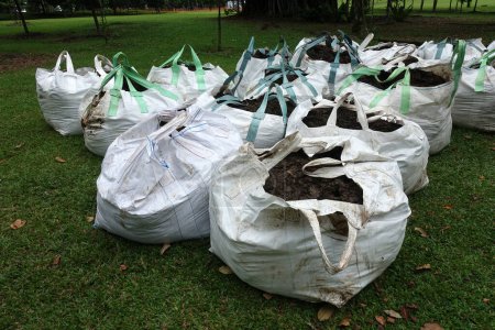Téléchargez les photos : Gros plan du sol organique avec des sacs serrés dans le jardin. - en image libre de droit