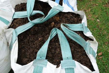 Téléchargez les photos : Gros plan du sol organique avec des sacs serrés dans le jardin. - en image libre de droit