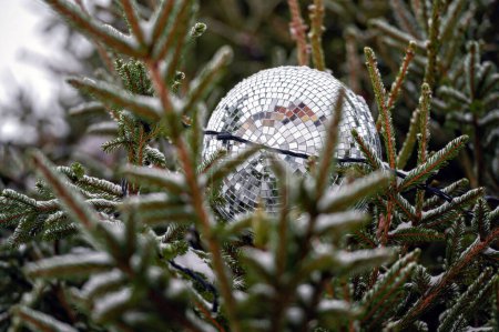 Photo for Christmas disco ball decoration on a snowy fir tree branch. Selective focus, shallow depth of field - Royalty Free Image