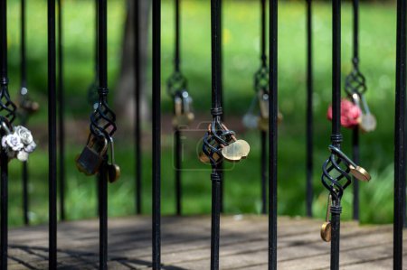 Cerraduras unidas a una cerca de hierro negro en un parque sombreado durante una tarde soleada.
