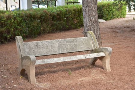 Photo for Bench in the park - Royalty Free Image