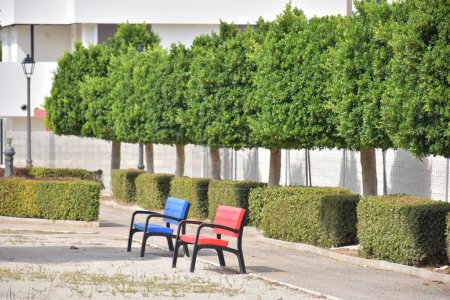 Téléchargez les photos : Chaises vides dans le parc - en image libre de droit