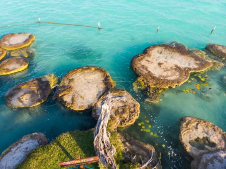 Téléchargez les photos : Drone Drone Shot of Ancient Stromatolites également connu sous le nom de pierres vivantes dans la lagune de sept couleurs près de Bacalar, Quintana Roo, Mexique - en image libre de droit