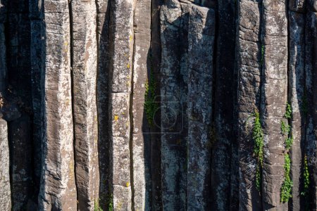 Foto de Prismas basálticos, Parque Nacional con formaciones geométricas de cascada, época del Pleistoceno, Maravilla natural. Hidalgo, México. - Imagen libre de derechos