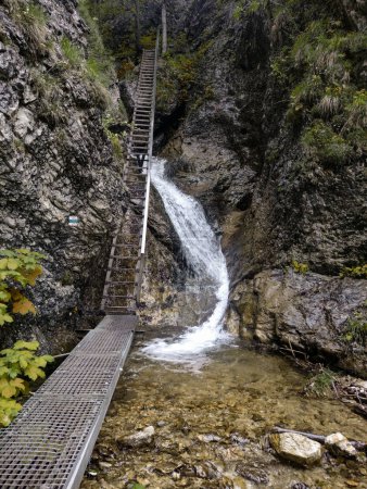 Téléchargez les photos : Sentier de randonnée sur la montagne. Slovaquie nature (Janosikowe Diery ) - en image libre de droit