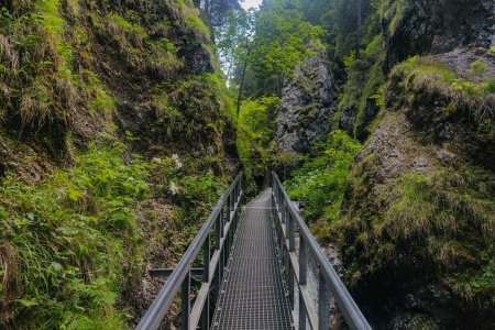 Téléchargez les photos : Sentier de randonnée sur la montagne. Slovaquie (Janosikowe Diery ) - en image libre de droit