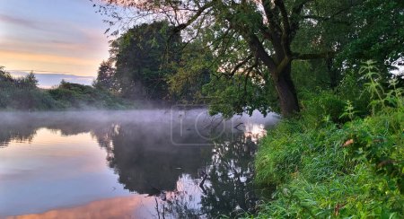 Foto de Hermoso paisaje con un río en el bosque - Imagen libre de derechos