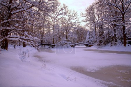 Foto de Paisaje de invierno con río - Imagen libre de derechos