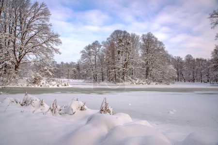 Photo for Frozen winter landscape with snow covered lake. - Royalty Free Image