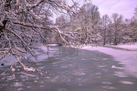Téléchargez les photos : Forêt d'hiver avec rivière gelée. paysage hivernal. - en image libre de droit